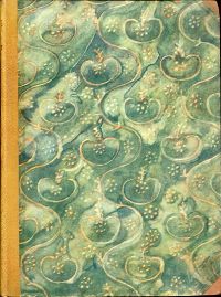 Bermann, Das Urwaldschiff. (Umschlag)