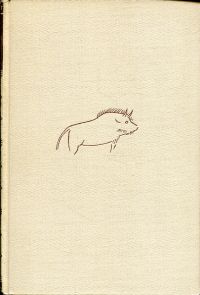 Casteret, Zehn Jahre unter der Erde. (Umschlag)