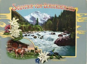 Souvenir vom Berner Oberland. (Umschlag)