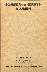 Schuhmacher, Sommer- und Herbstblumen. (Umschlag)
