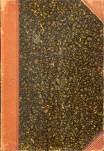 Bloesch, Geschichte der schweizerisch-reformierten Kirchen. (Umschlag)