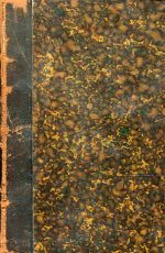 Maggiolo, Corse, France & Russie. (Umschlag)