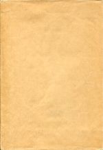 Ammon, Gesunde Demokratie. (Umschlag)