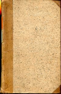 Fischer, Gemälde von Valencia. (Umschlag)