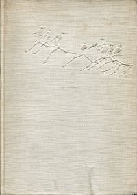 Bowald, Lagunenstürme. (Umschlag)