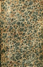 Hagenbach, Johann Oekolampad und Oswald Myconius, die Reformatoren Basels. (Umschlag)