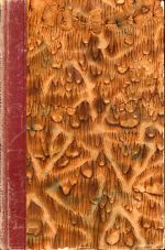 Tolstoj, Die Kreutzer-Sonate. Die Kosaken. (Umschlag)