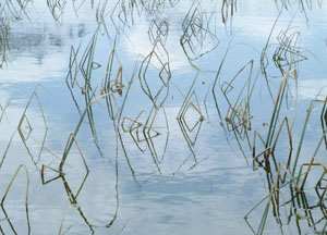 bildreich karten PK 12: lai digl mestgel I, alp flix.