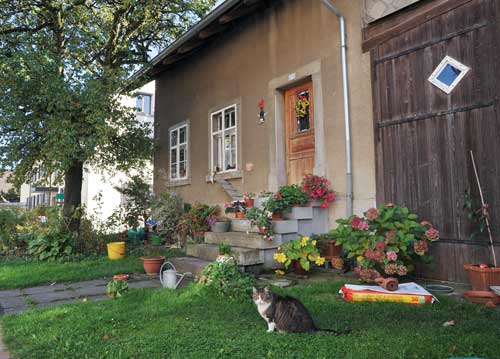 bildreich karten PK 1023: mittagspause.