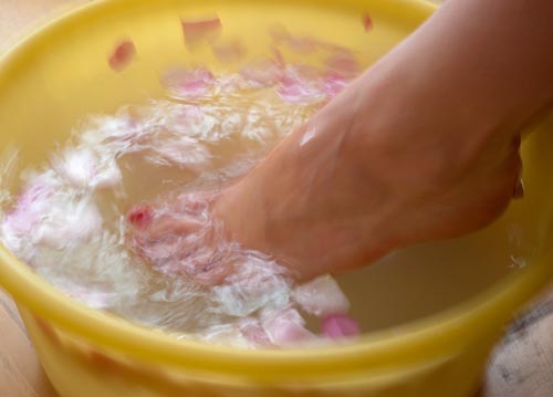 bildreich karten PK 1064: rosenwasserwirbelchen.