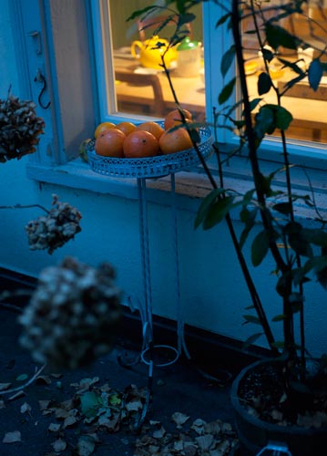 bildreich karten PK 1094: frische orangen.