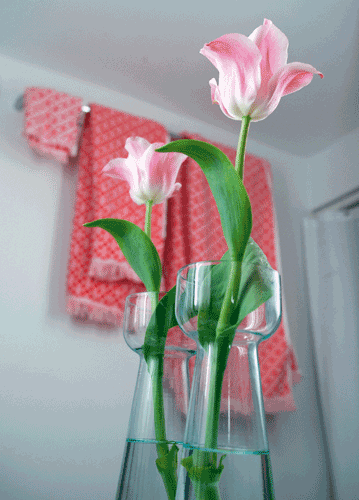 bildreich karten PK 1114: fruehlingsbad.