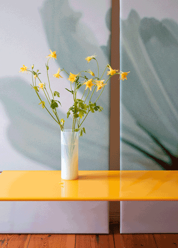 bildreich karten PK 1116: akelei und cosmea.