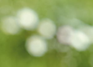 bildreich karten PK 173: sommersummern I.