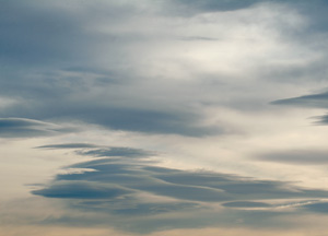 bildreich karten PK 228: spätes licht I.