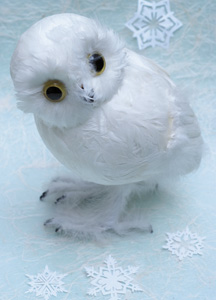 bildreich karten PK 379: eulenblick.