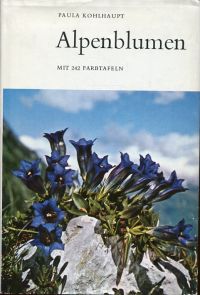 Kohlhaupt, Alpenblumen. (Umschlag)