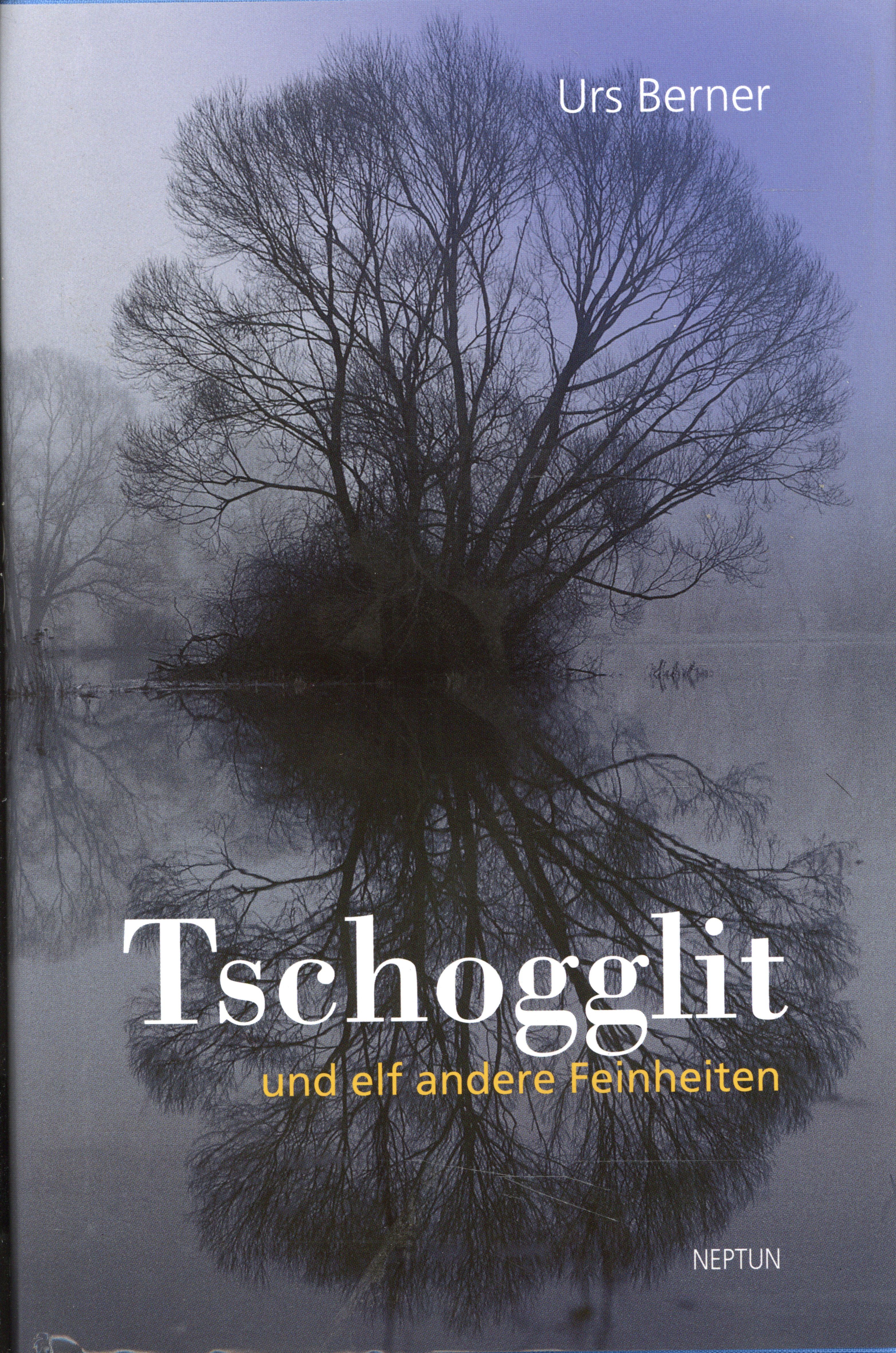 Berner, Tschogglit und elf andere Feinheiten. (Umschlag)
