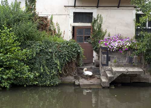 bildreich karten PK 702: ledas platz.