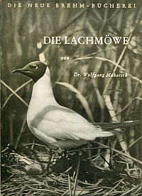 Makatsch, Die Lachmöwe. (Umschlag)