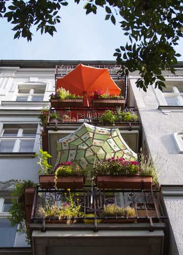 bildreich karten PK 821: pistache und mandarine.