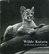Schönholzer, Wilde Katzen. (Umschlag)