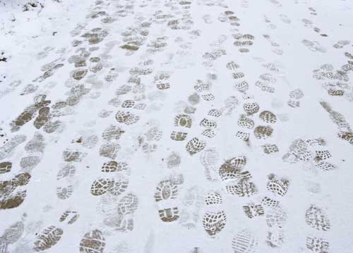 bildreich karten PK 879: vorgänger.