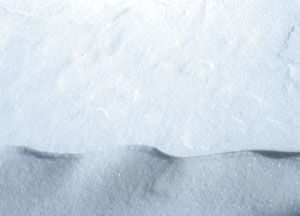 bildreich karten PK 65: