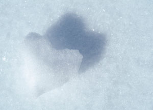 bildreich karten PK 75: herzstück.