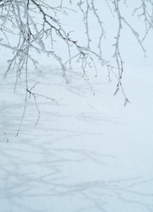 bildreich karten PK 77: wintermorgenlicht.