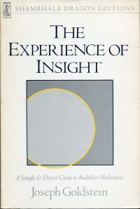 Goldstein, The experience of insight. (Umschlag)