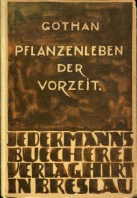Gothan, Pflanzenleben der Vorzeit. (Umschlag)