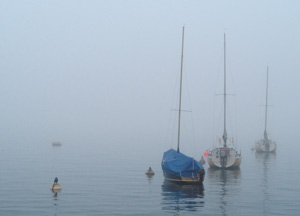 bildreich karten PK 232: frühmorgens.