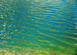 bildreich karten PK 258: lai da rims.