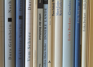 bildreich karten PK 299: innere lande.