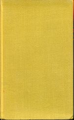 Grisebach, Chinesisches Novellenbuch. (Umschlag)