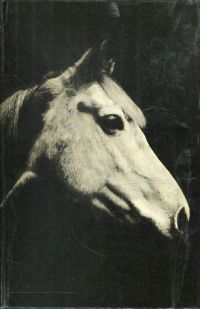 Schwarz, Pferde, Pferde...! (Umschlag)