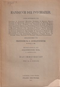 Schultze, Das Irrenrecht. (Umschlag)