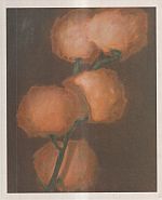 Cristof Yvoré. (Umschlag)