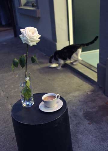 bildreich karten PK 765: zwischen gestern und morgen.