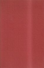 Rieche, Das antike Italien aus der Luft. (Umschlag)