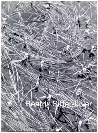 Beatrix Sitter-Liver - Näherungen. (Umschlag)