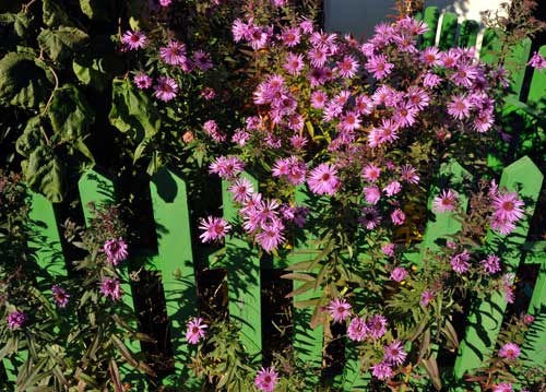 bildreich karten PK 999: herbstidylle.